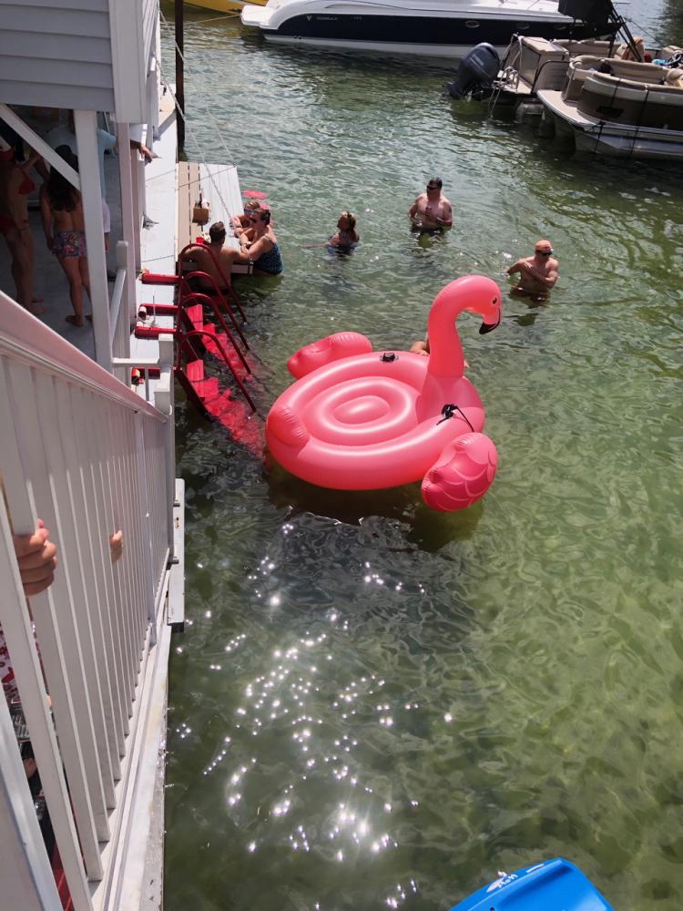 The Dive on Instagram