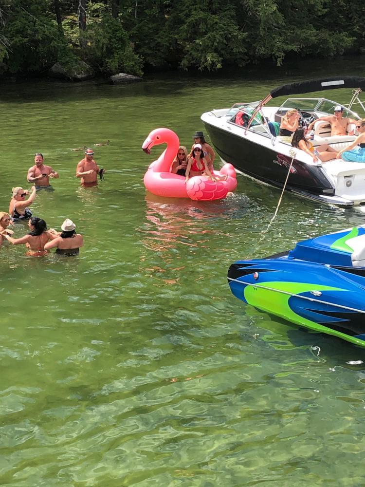 The Dive on Instagram